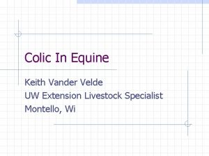 Colic In Equine Keith Vander Velde UW Extension