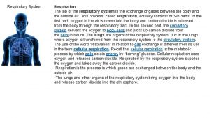 Respiratory System Respiration The job of the respiratory