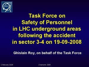 Task Force on Safety of Personnel in LHC