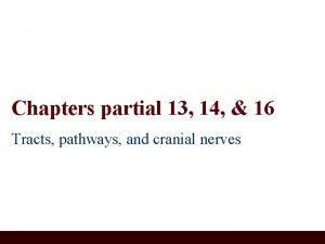 Chapters partial 13 14 16 Tracts pathways and