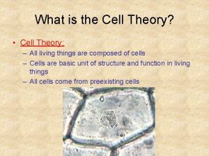 What is the Cell Theory Cell Theory All
