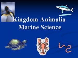 Kingdom Animalia Marine Science General Characteristics Multicellular n