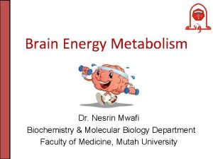 Brain Energy Metabolism Dr Nesrin Mwafi Biochemistry Molecular