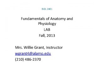 BIOL 2401 Fundamentals of Anatomy and Physiology LAB