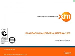 PLANEACIN AUDITORA INTERNA 2007 Comit de Auditora No