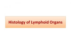 Histology of Lymphoid Organs Immune system The immune