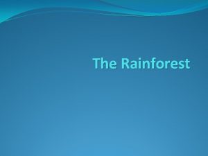 The Rainforest What is a Rainforest Rainforests are