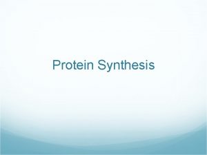 Protein Synthesis Protein Synthesis Overview What does DNA