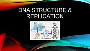 DNA STRUCTURE REPLICATION DNA AND ITS STRUCTURE DNA