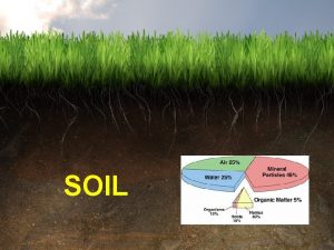 SOIL SOIL mixture of eroded rock mineral nutrients