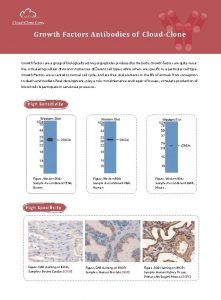 Growth Factors Antibodies of CloudClone Growth factors are