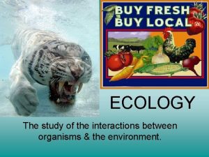 ECOLOGY The study of the interactions between organisms