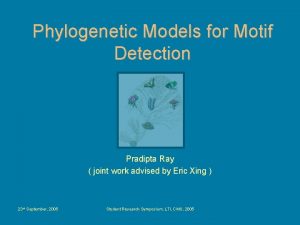 Phylogenetic Models for Motif Detection Pradipta Ray joint