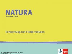 Dynamische Folien Echoortung bei Fledermusen Ein Airbag muss