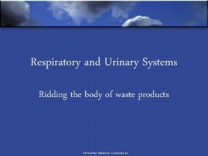 Respiratory and Urinary Systems Ridding the body of