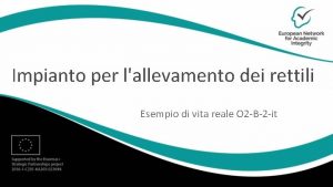 Impianto per lallevamento dei rettili Esempio di vita