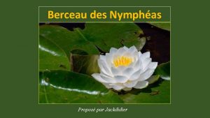 Berceau des Nymphas Propos par Jackdidier Temple sur