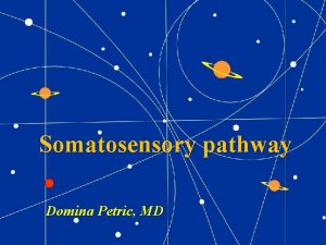 Somatosensory pathway Domina Petric MD ptu ne Ne