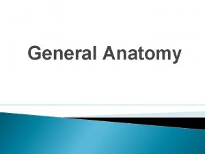 General Anatomy What is Anatomy Anatomy morphology is