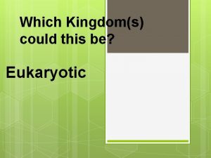 Which Kingdoms could this be Eukaryotic Which Kingdoms