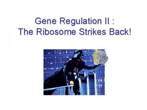 Gene Regulation II The Ribosome Strikes Back Mechanisms