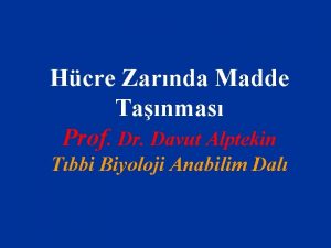 Hcre Zarnda Madde Tanmas Prof Dr Davut Alptekin