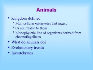 Animals Kingdom defined Multicellular eukaryotes that ingest Or