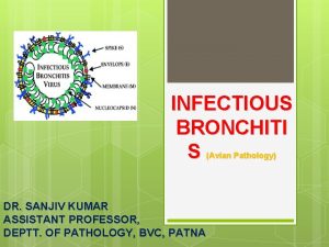 INFECTIOUS BRONCHITI S Avian Pathology DR SANJIV KUMAR