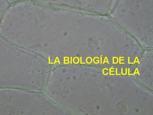 LA BIOLOGA DE LA CLULA LA TEORA CELULAR