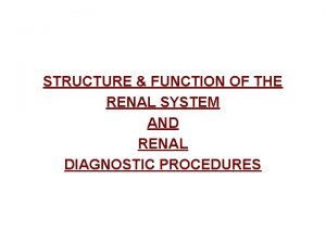 STRUCTURE FUNCTION OF THE RENAL SYSTEM AND RENAL