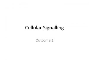 Cellular Signalling Outcome 1 Receptors Receptors are proteins