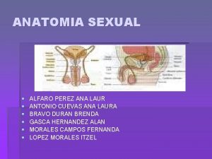 ANATOMIA SEXUAL ALFARO PEREZ ANA LAUR ANTONIO CUEVAS
