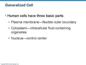Generalized Cell Human cells have three basic parts