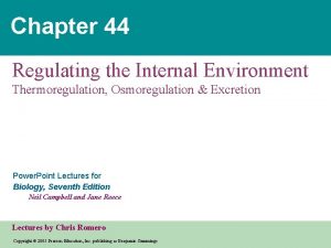 Chapter 44 Regulating the Internal Environment Thermoregulation Osmoregulation