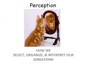 Perception HOW WE SELECT ORGANIZE INTERPRET OUR SENSATIONS