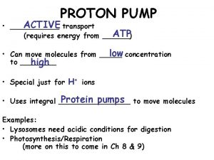 PROTON PUMP ACTIVE transport ATP requires energy from