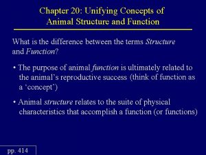 Chapter 20 Unifying Concepts of Animal Structure and