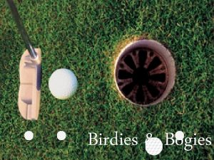 Birdies Bogies HOW TO PLAY Create a team