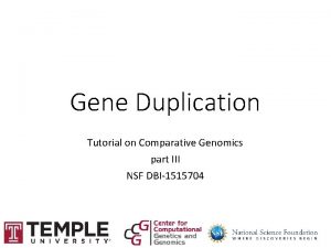 Gene Duplication Tutorial on Comparative Genomics part III