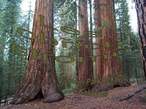 Nrodn park Sequoia Na vod si o nm