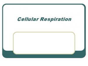 Cellular Respiration What is Cellular Respiration l Cellular