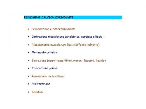 glicogenolisi colesterolo 7 diidrocolesterolo UV light Vitamina D