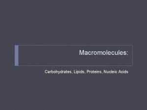 Macromolecules Carbohydrates Lipids Proteins Nucleic Acids Lets Review