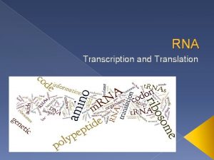 RNA Transcription and Translation Replication Assemble the DNA
