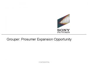 Grouper Prosumer Expansion Opportunity CONFIDENTIAL Executive Summary Grouper