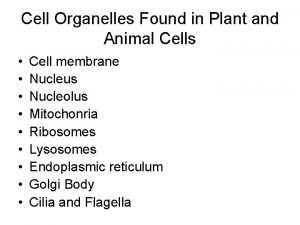 Cell Organelles Found in Plant and Animal Cells