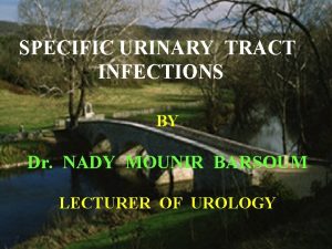 SPECIFIC URINARY TRACT INFECTIONS BY Dr NADY MOUNIR