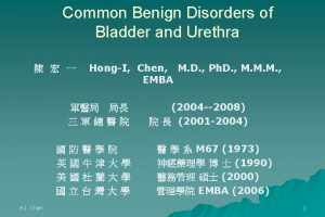 Disorder of the Bladder Prostate Urethra Seminal Vesicle