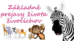 Zkladn prejavy ivota ivochov Zopakuj si loha 1