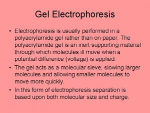 Gel Electrophoresis Electrophoresis is usually performed in a